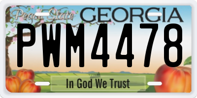 GA license plate PWM4478