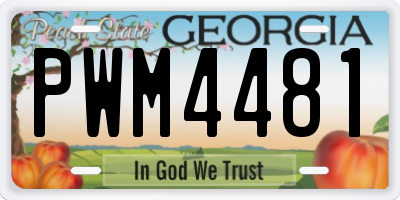 GA license plate PWM4481