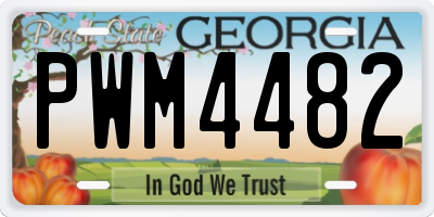 GA license plate PWM4482