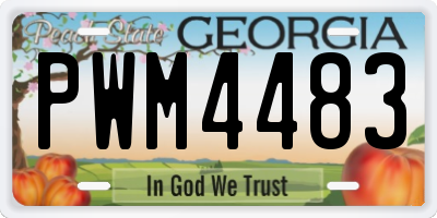 GA license plate PWM4483