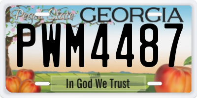 GA license plate PWM4487