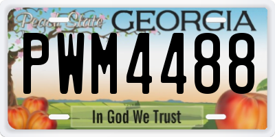 GA license plate PWM4488