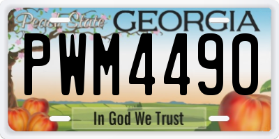 GA license plate PWM4490