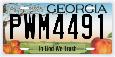 GA license plate PWM4491