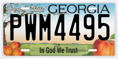 GA license plate PWM4495
