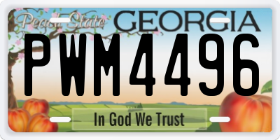 GA license plate PWM4496