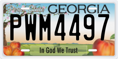 GA license plate PWM4497