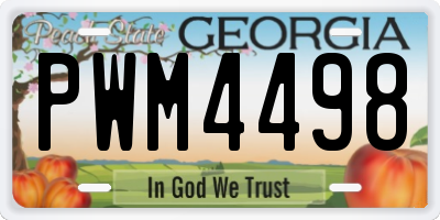 GA license plate PWM4498