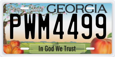 GA license plate PWM4499
