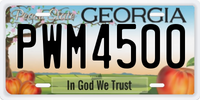 GA license plate PWM4500