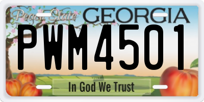 GA license plate PWM4501