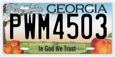 GA license plate PWM4503