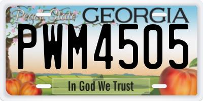 GA license plate PWM4505
