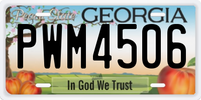 GA license plate PWM4506