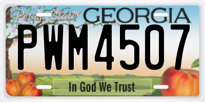 GA license plate PWM4507