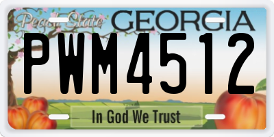 GA license plate PWM4512