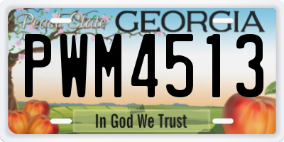 GA license plate PWM4513