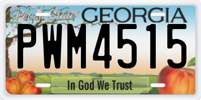GA license plate PWM4515