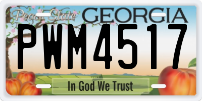 GA license plate PWM4517