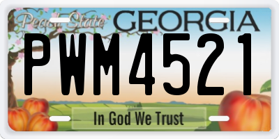 GA license plate PWM4521