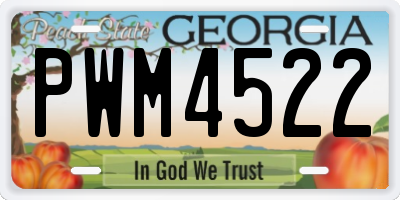 GA license plate PWM4522