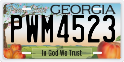 GA license plate PWM4523
