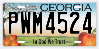 GA license plate PWM4524