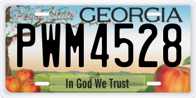 GA license plate PWM4528