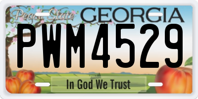 GA license plate PWM4529