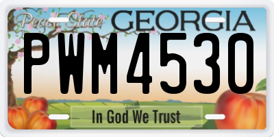 GA license plate PWM4530