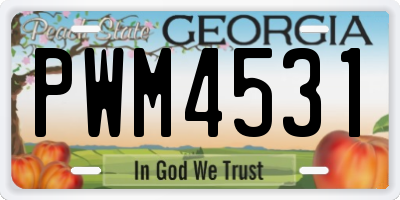 GA license plate PWM4531