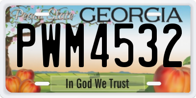 GA license plate PWM4532