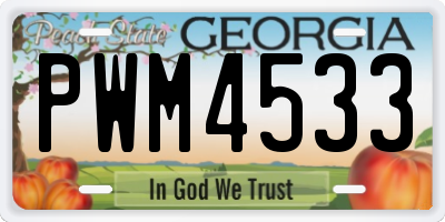 GA license plate PWM4533