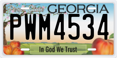GA license plate PWM4534
