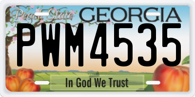 GA license plate PWM4535