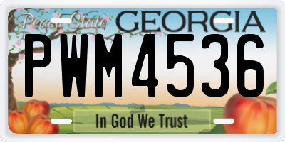GA license plate PWM4536