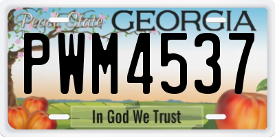 GA license plate PWM4537
