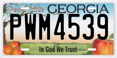 GA license plate PWM4539