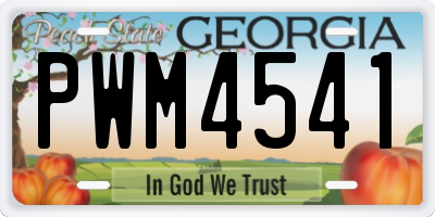GA license plate PWM4541