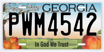 GA license plate PWM4542