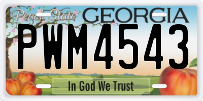 GA license plate PWM4543