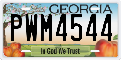 GA license plate PWM4544
