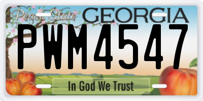 GA license plate PWM4547