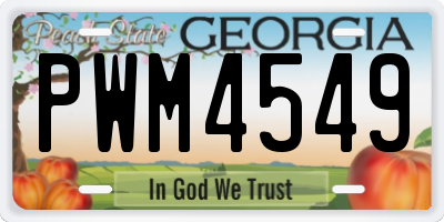 GA license plate PWM4549