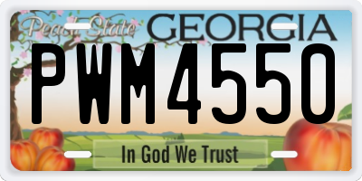 GA license plate PWM4550