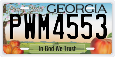 GA license plate PWM4553