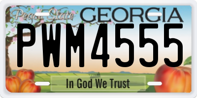 GA license plate PWM4555