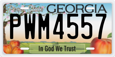 GA license plate PWM4557
