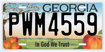 GA license plate PWM4559