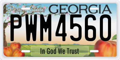 GA license plate PWM4560